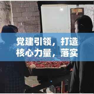 党建引领,打造核心力量,落实工作任务的总抓手