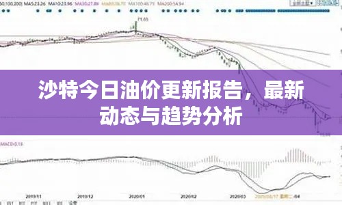 沙特今日油价更新报告，最新动态与趋势分析