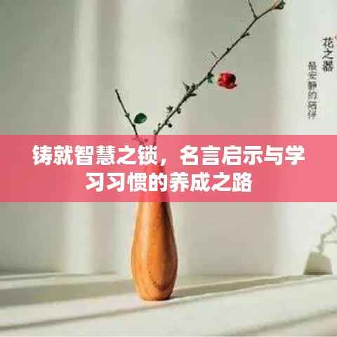 铸就智慧之锁,名言启示与学习习惯的养成之路