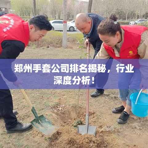 郑州手套公司排名揭秘,行业深度分析!