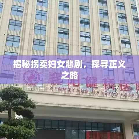 揭秘拐卖妇女悲剧,探寻正义之路