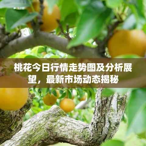 商品分类 第128页