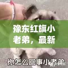豫东红旗小老弟,最新视频展现乡村生活的无限魅力与活力