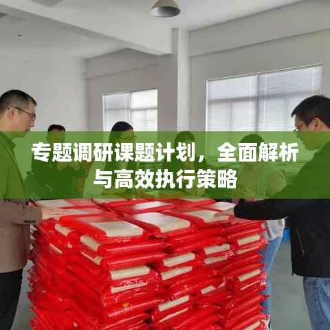 专题调研课题计划,全面解析与高效执行策略