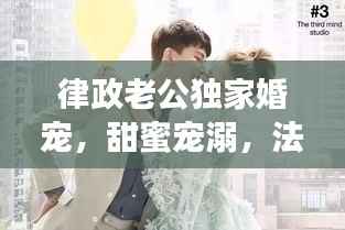 律政老公独家婚宠,甜蜜宠溺,法律守护的爱情之旅