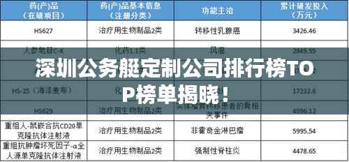 深圳公务艇定制公司排行榜TOP榜单揭晓！