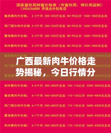广西最新肉牛价格走势揭秘,今日行情分析