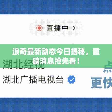 浪奇最新动态今日揭秘，重磅消息抢先看！