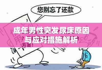 成年男性突发尿床原因与应对措施解析