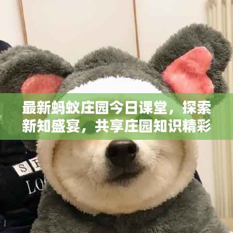 最新蚂蚁庄园今日课堂,探索新知盛宴,共享庄园知识精彩时刻