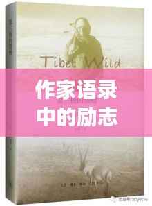 作家语录中的励志之歌,文字与旋律的交融之美探索