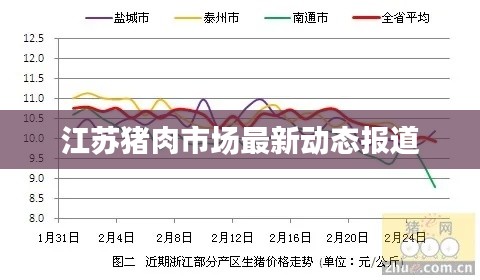 江苏猪肉市场最新动态报道
