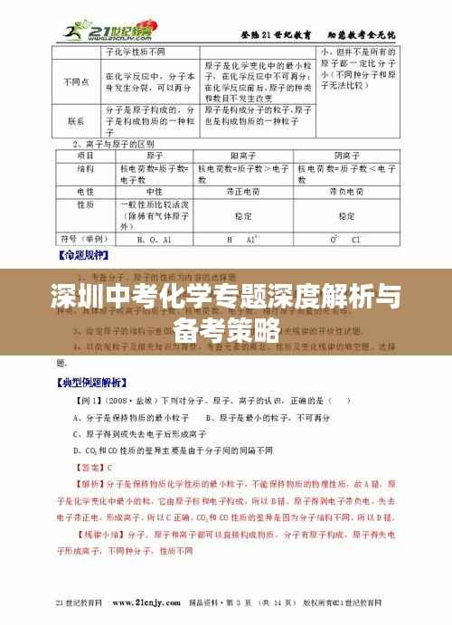 深圳中考化学专题深度解析与备考策略