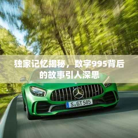 独家记忆揭秘，数字995背后的故事引人深思