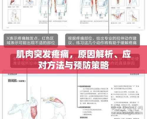 肌肉突发疼痛,原因解析、应对方法与预防策略